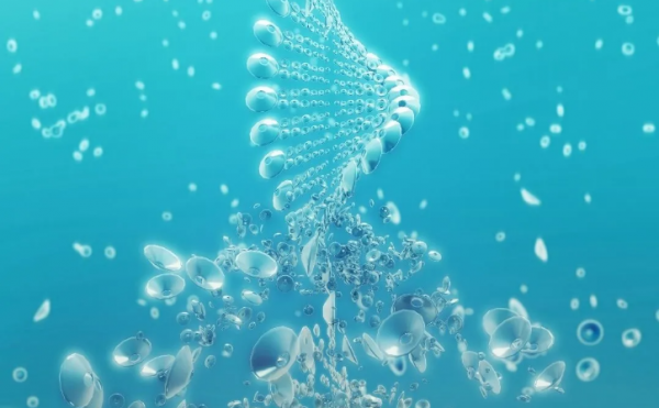 全产业链布局深入，华熙生物要做生物科技的3M？